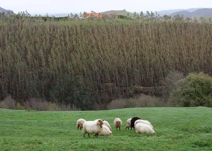 Country house La Casa Del Chileno *